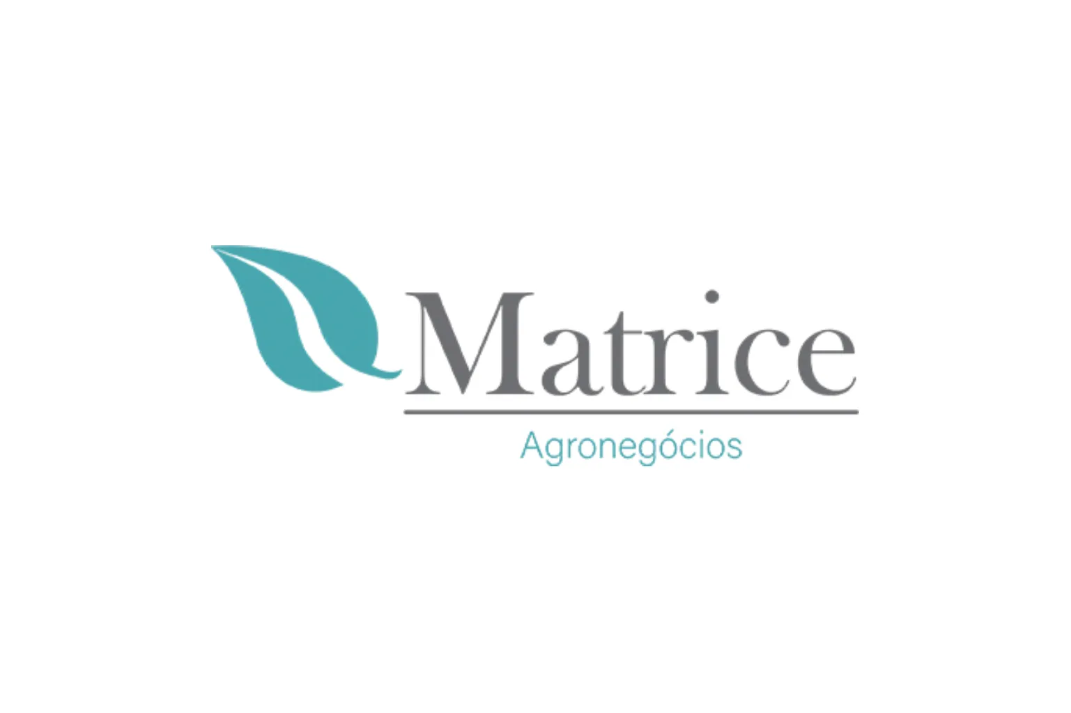 Câmaras frigoríficas para sementes de alho da Matrice