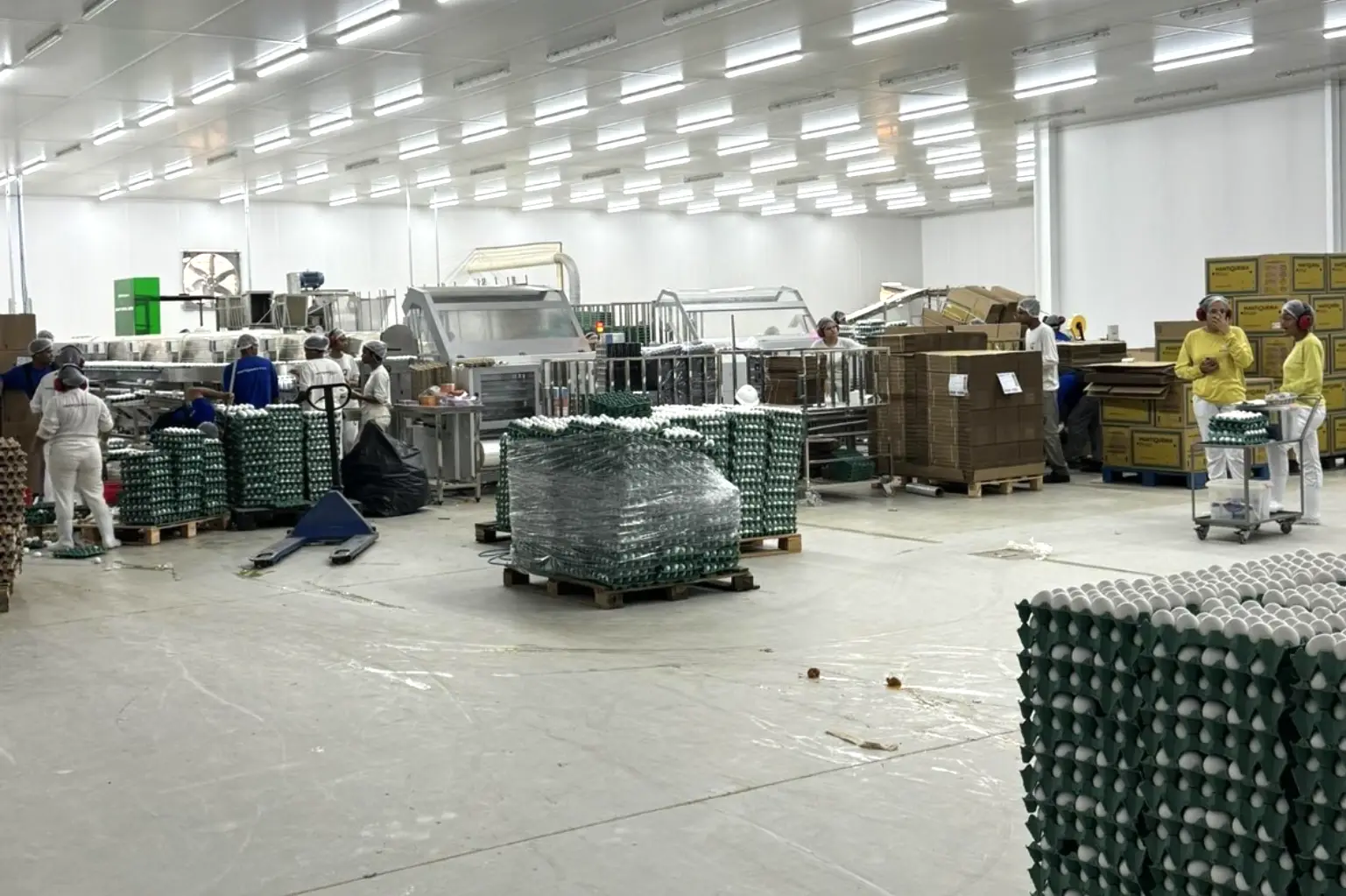 Isolamento térmico para incubatório de ovos Mantiqueira Brasil