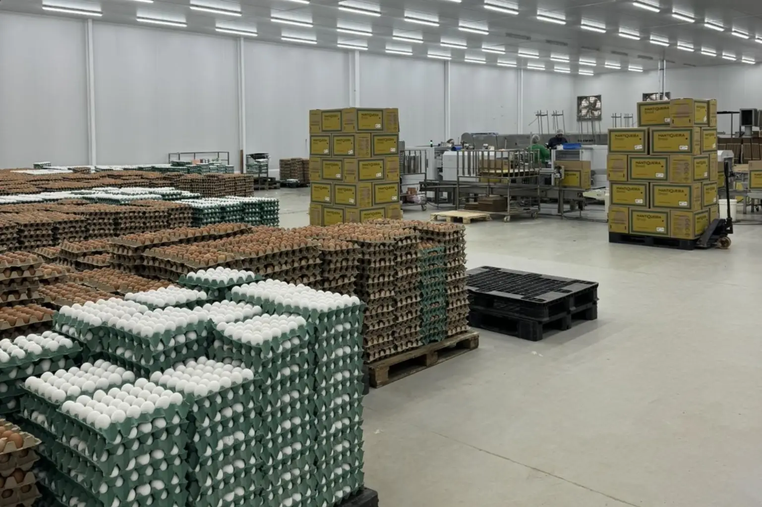 Isolamento térmico para incubatório de ovos Mantiqueira Brasil
